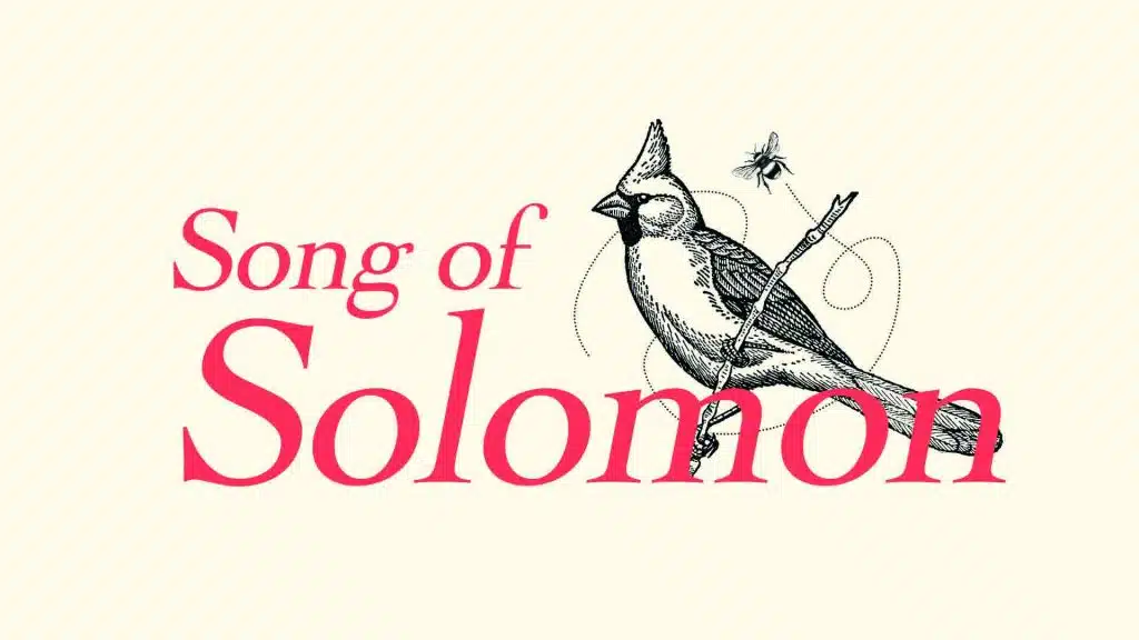 Song of Solomon Series Modern